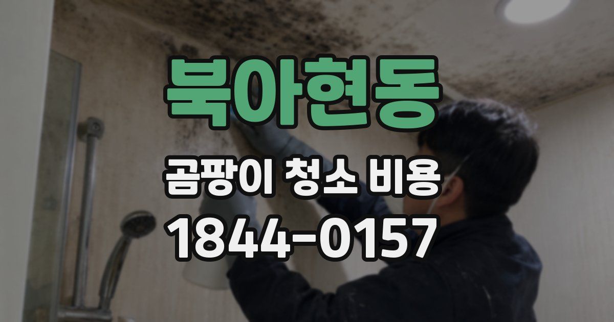북아현동 곰팡이 청소 비용