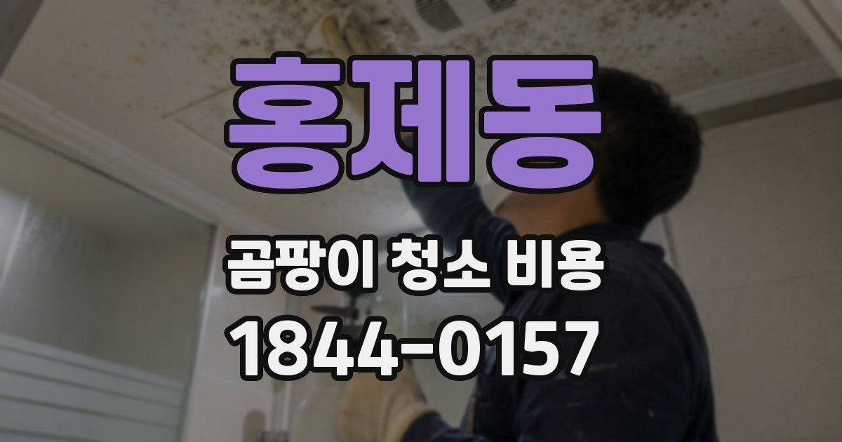홍제동 곰팡이 청소 비용