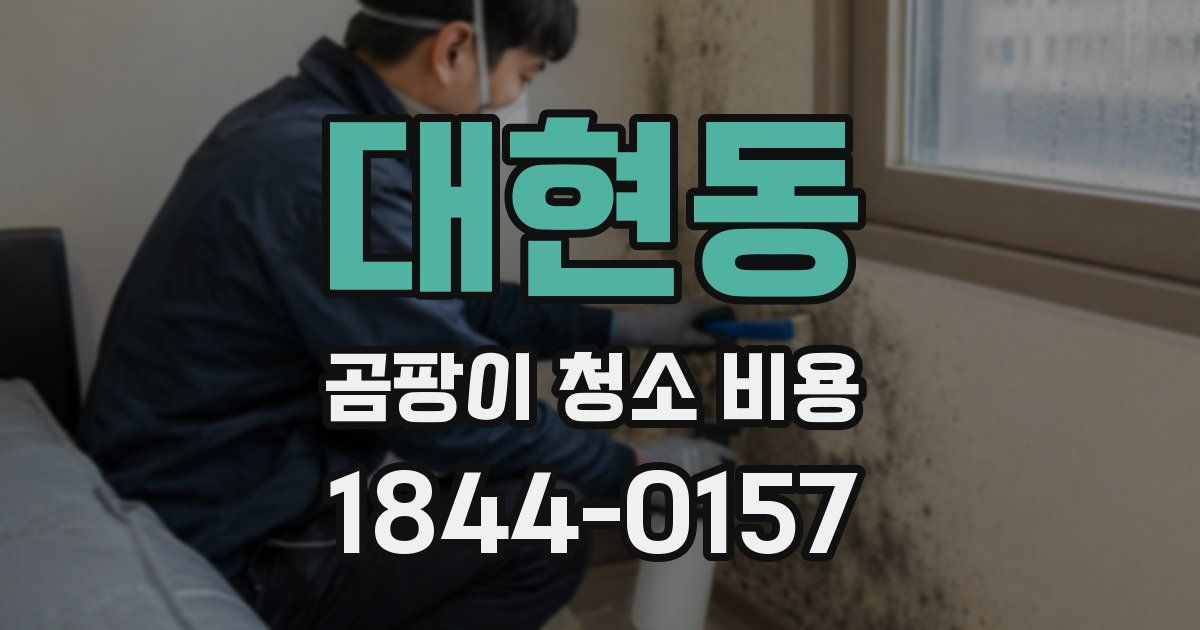 대현동 곰팡이 청소 비용