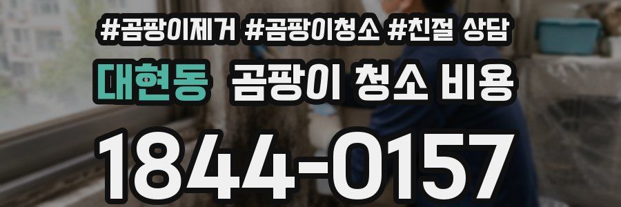 대현동 곰팡이 청소 비용