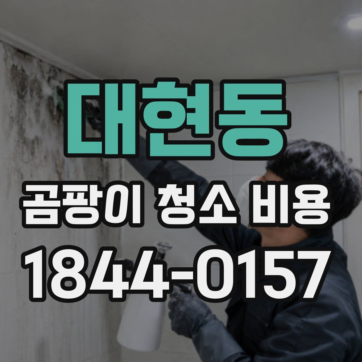 대현동 곰팡이 청소 비용