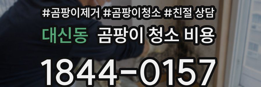 대신동 곰팡이 청소 비용