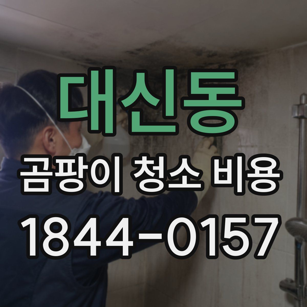 대신동 곰팡이 청소 비용