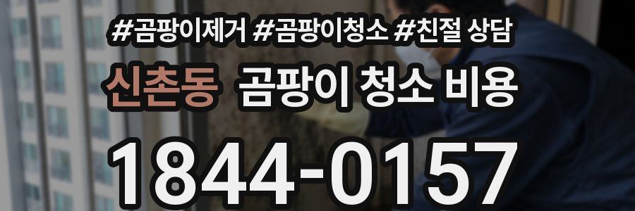 신촌동 곰팡이 청소 비용