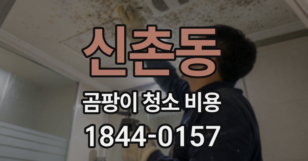 신촌동 곰팡이 청소 비용