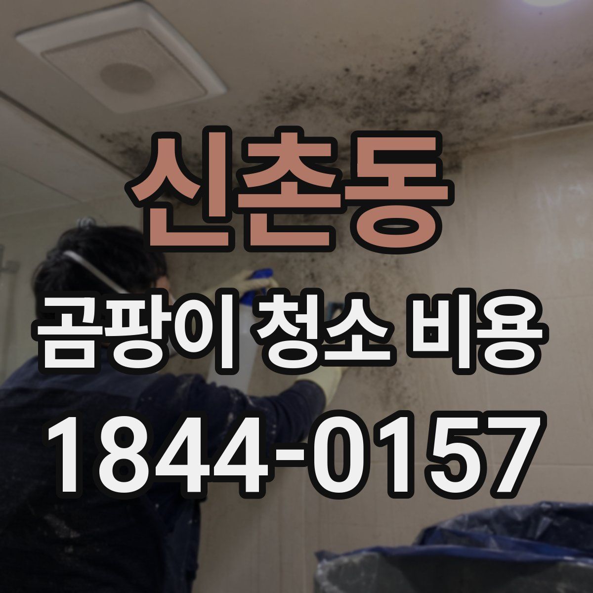 신촌동 곰팡이 청소 비용