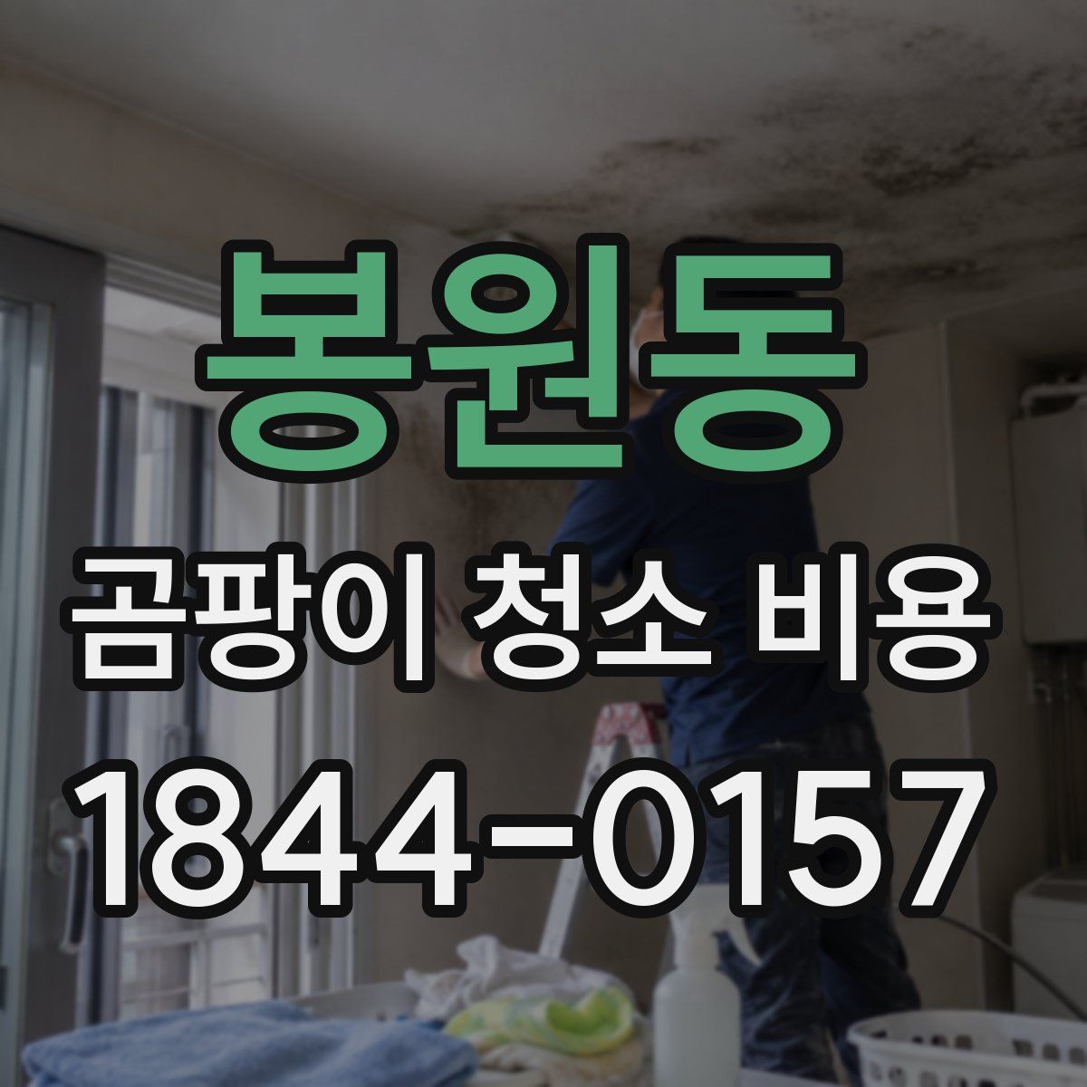 봉원동 곰팡이 청소 비용