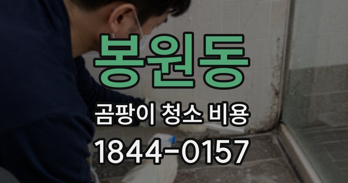봉원동 곰팡이 청소 비용