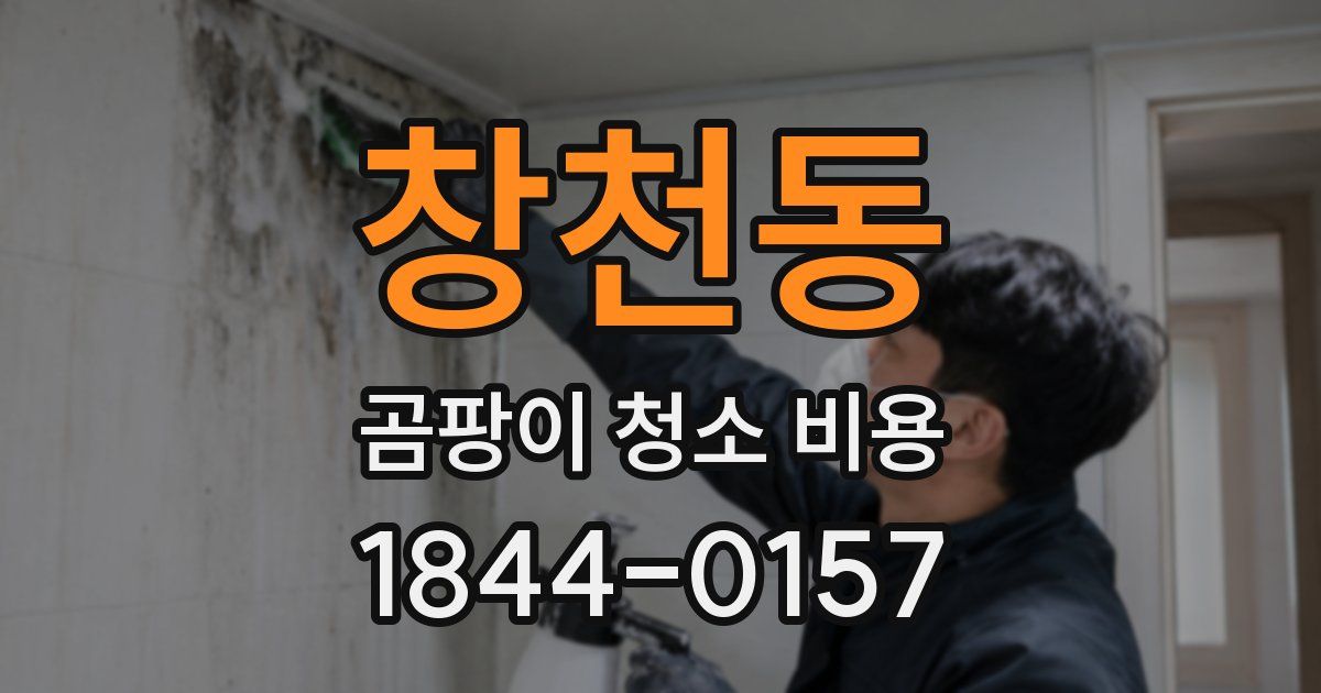 창천동 곰팡이 청소 비용