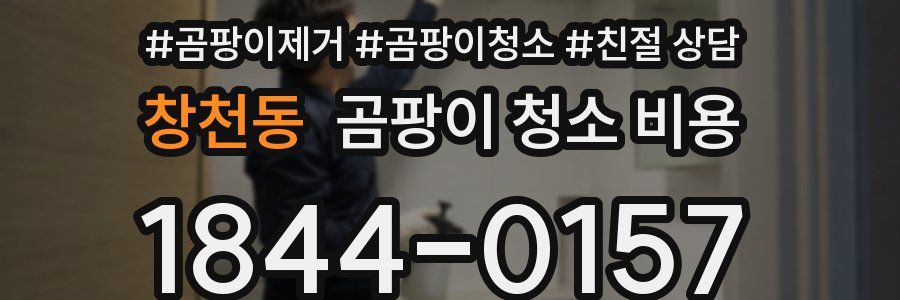 창천동 곰팡이 청소 비용