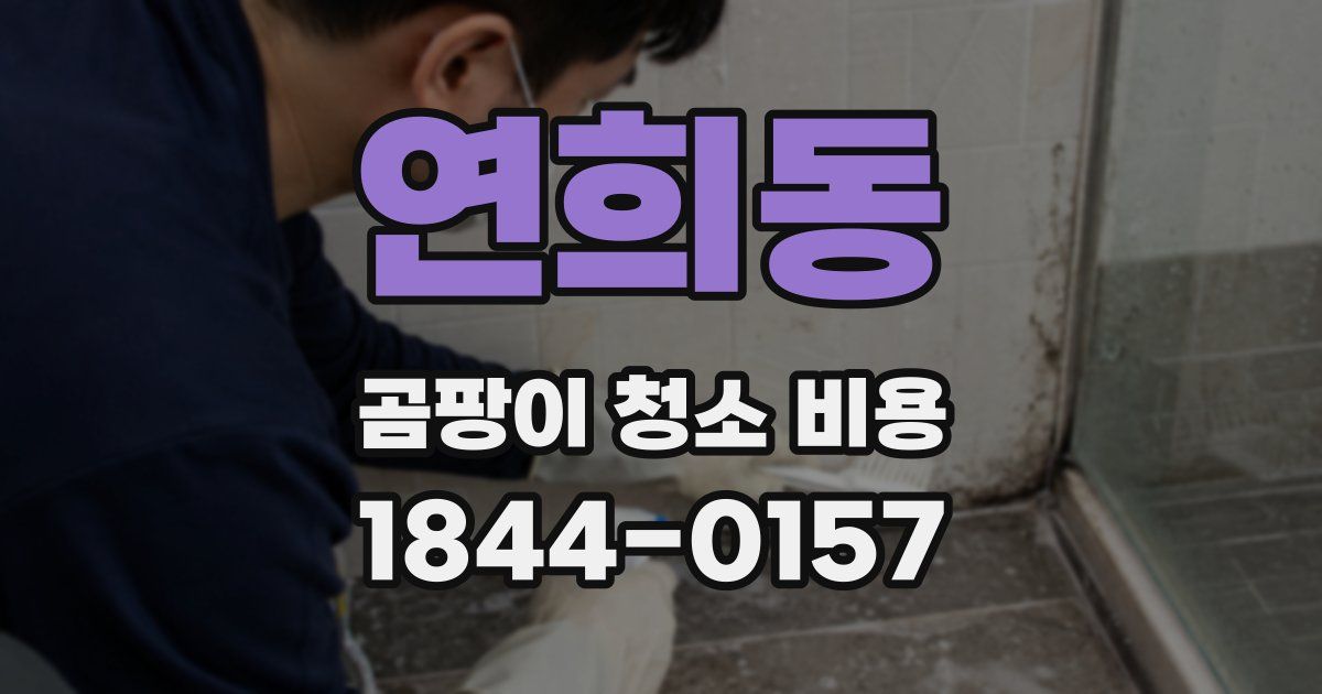 연희동 곰팡이 청소 비용