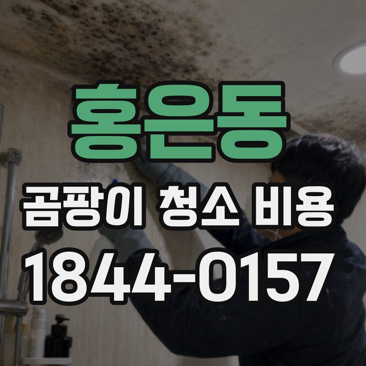 홍은동 곰팡이 청소 비용