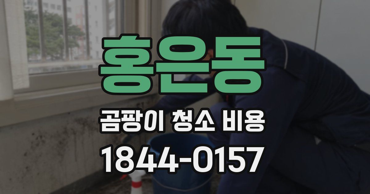 홍은동 곰팡이 청소 비용