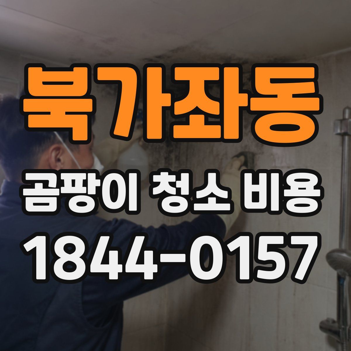 북가좌동 곰팡이 청소 비용