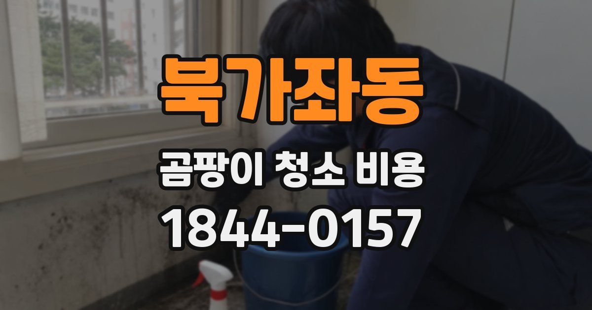 북가좌동 곰팡이 청소 비용