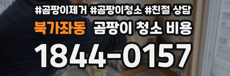 북가좌동 곰팡이 청소 비용