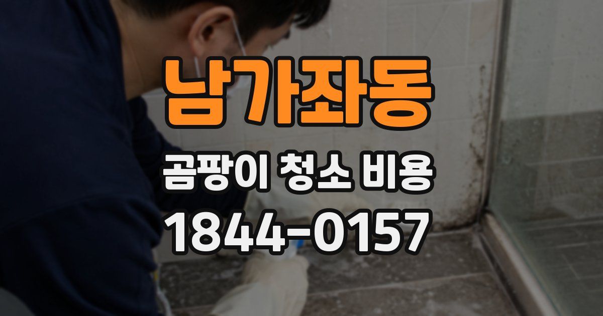 남가좌동 곰팡이 청소 비용