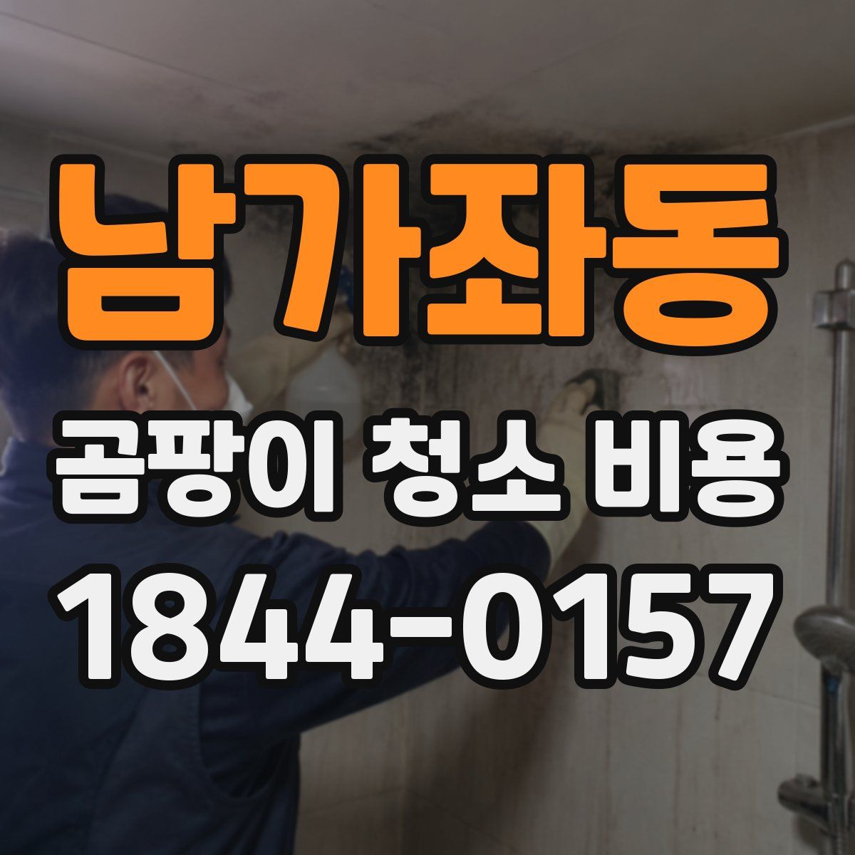 남가좌동 곰팡이 청소 비용