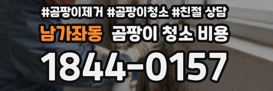 남가좌동 곰팡이 청소 비용