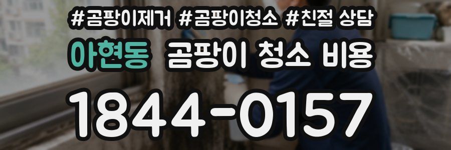 아현동 곰팡이 청소 비용
