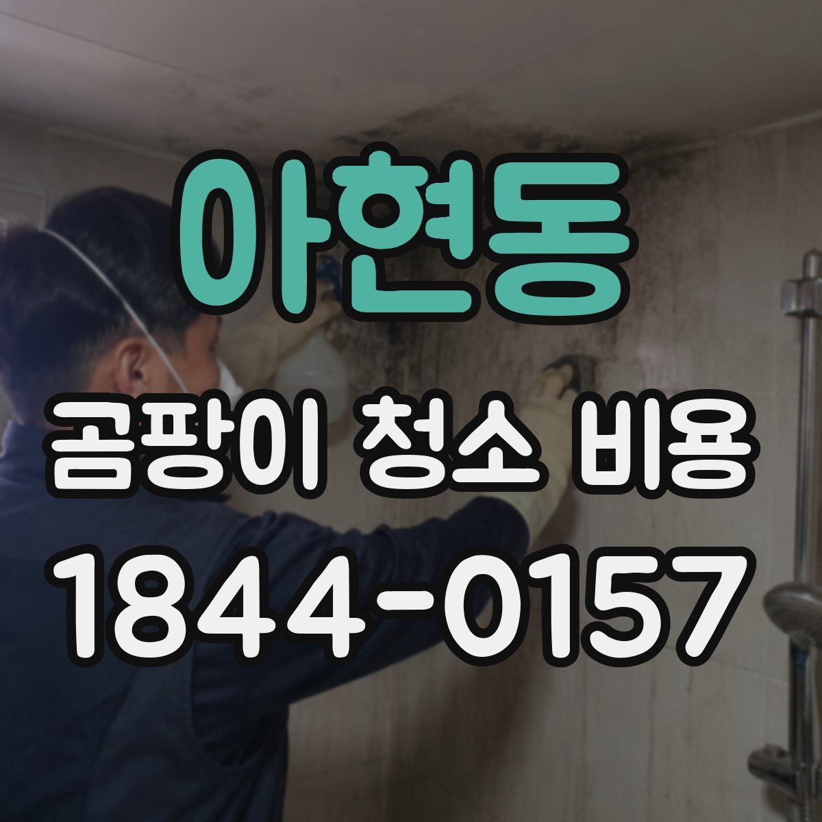 아현동 곰팡이 청소 비용