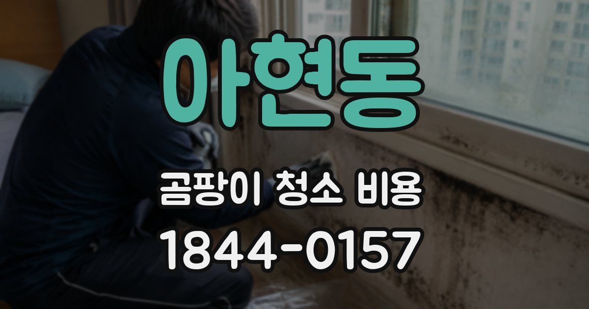 아현동 곰팡이 청소 비용