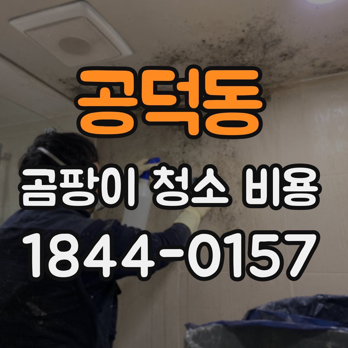 공덕동 곰팡이 청소 비용