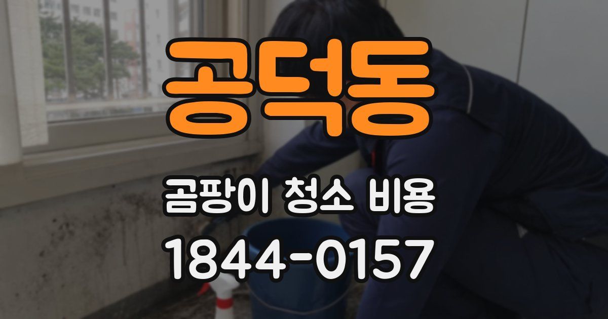 공덕동 곰팡이 청소 비용