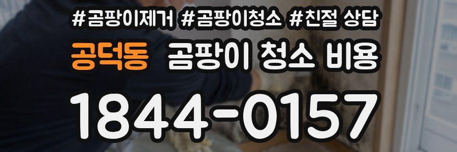 공덕동 곰팡이 청소 비용