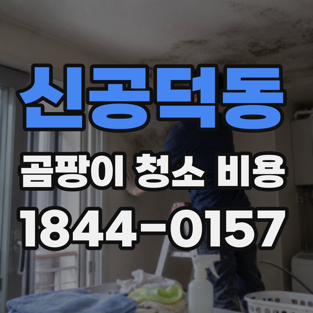 신공덕동 곰팡이 청소 비용