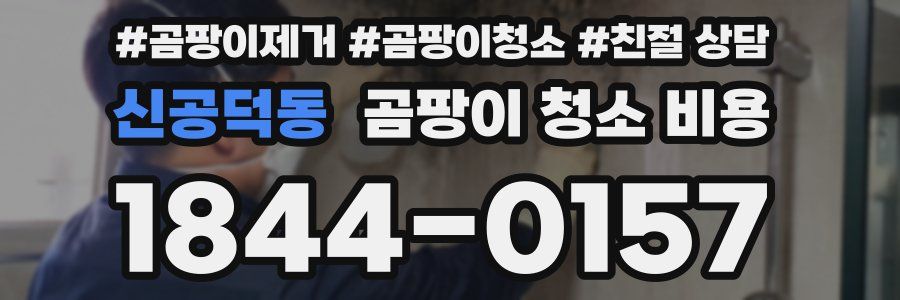신공덕동 곰팡이 청소 비용
