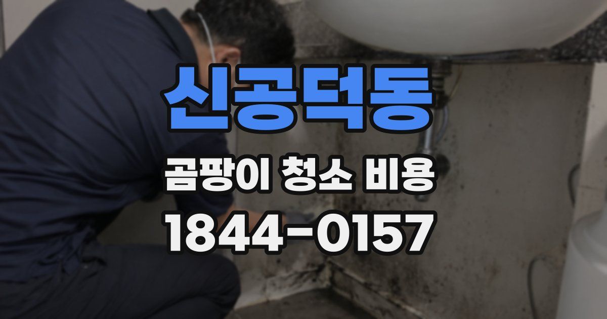 신공덕동 곰팡이 청소 비용
