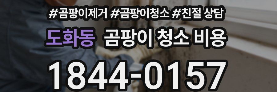 도화동 곰팡이 청소 비용