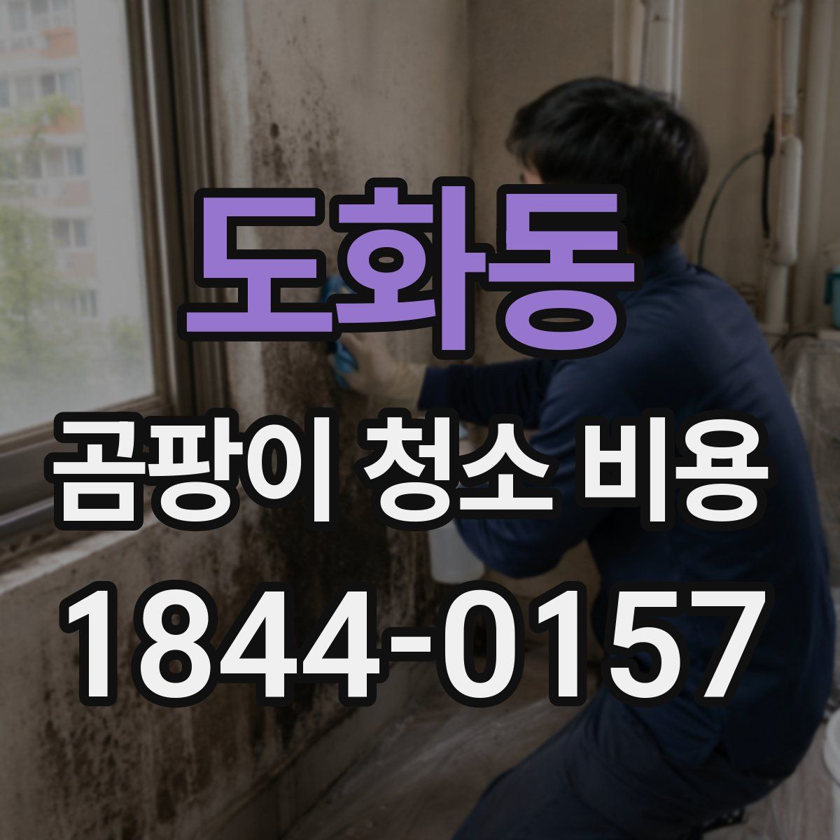 도화동 곰팡이 청소 비용