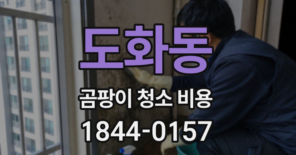 도화동 곰팡이 청소 비용