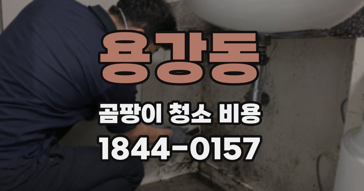 용강동 곰팡이 청소 비용