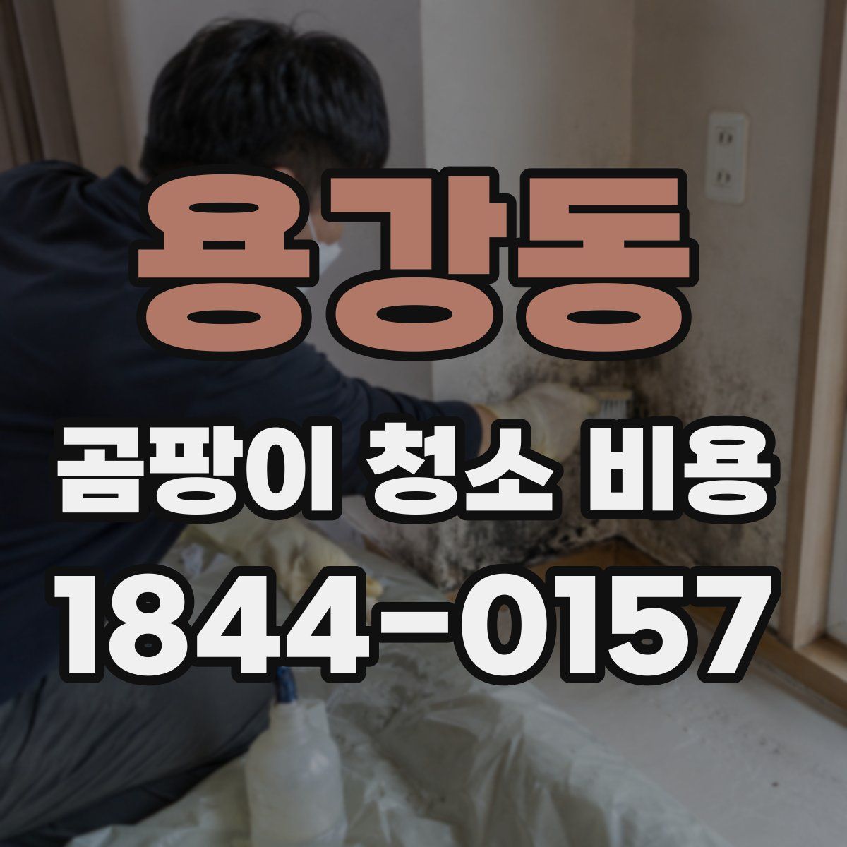 용강동 곰팡이 청소 비용