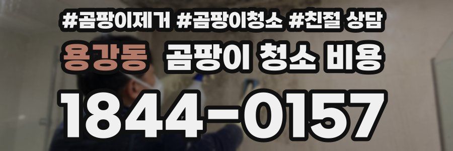 용강동 곰팡이 청소 비용
