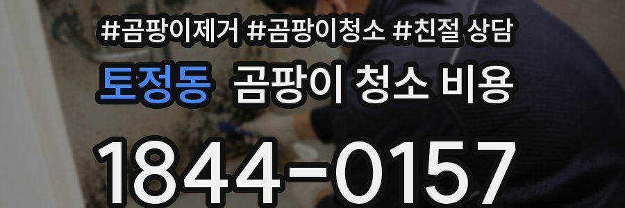 토정동 곰팡이 청소 비용