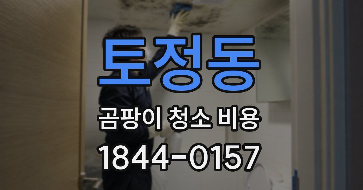 토정동 곰팡이 청소 비용