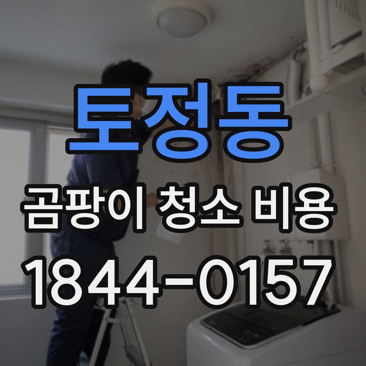 토정동 곰팡이 청소 비용