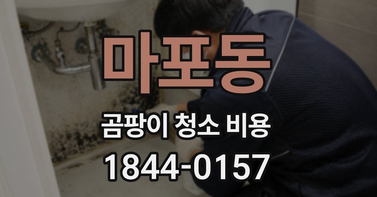마포동 곰팡이 청소 비용
