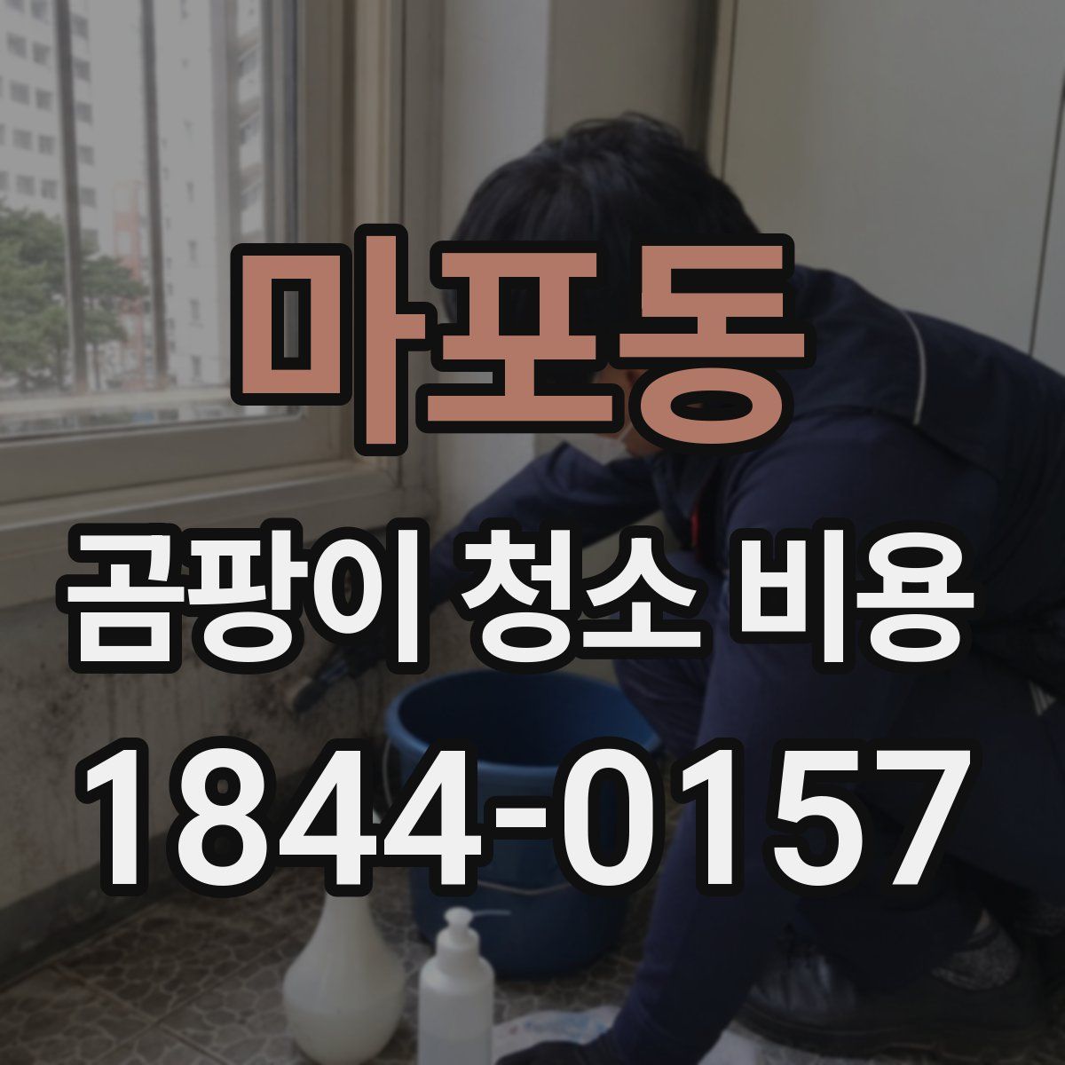 마포동 곰팡이 청소 비용
