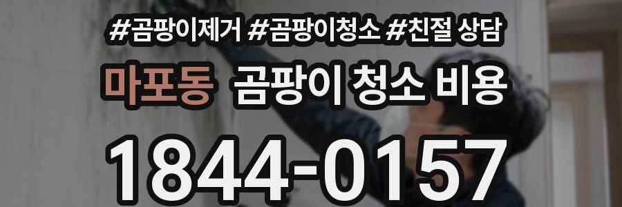 마포동 곰팡이 청소 비용