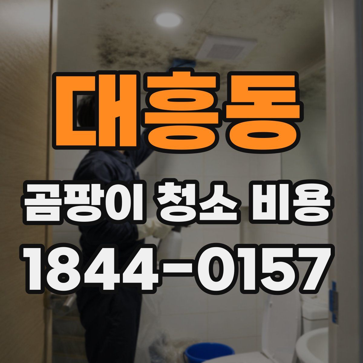 대흥동 곰팡이 청소 비용