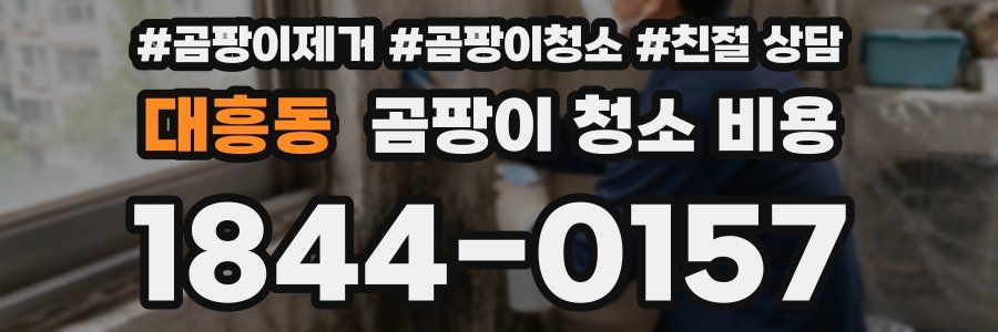대흥동 곰팡이 청소 비용