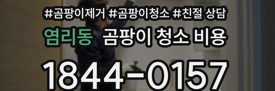 염리동 곰팡이 청소 비용
