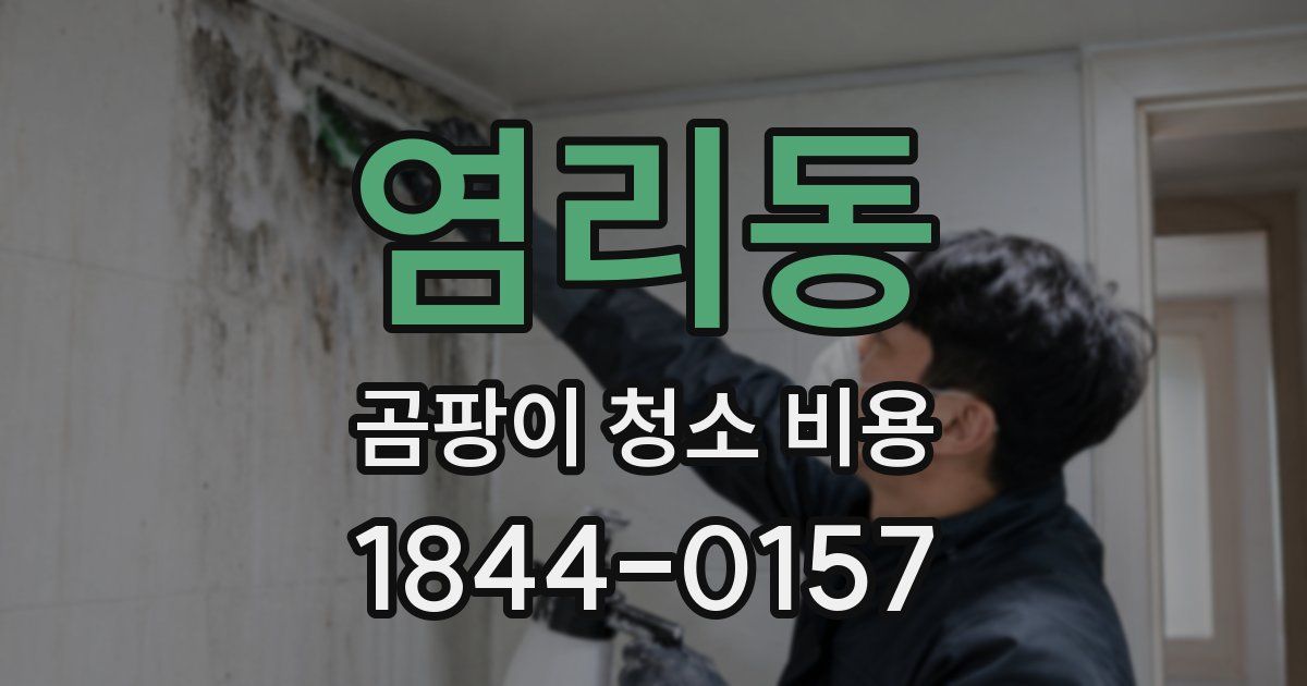 염리동 곰팡이 청소 비용