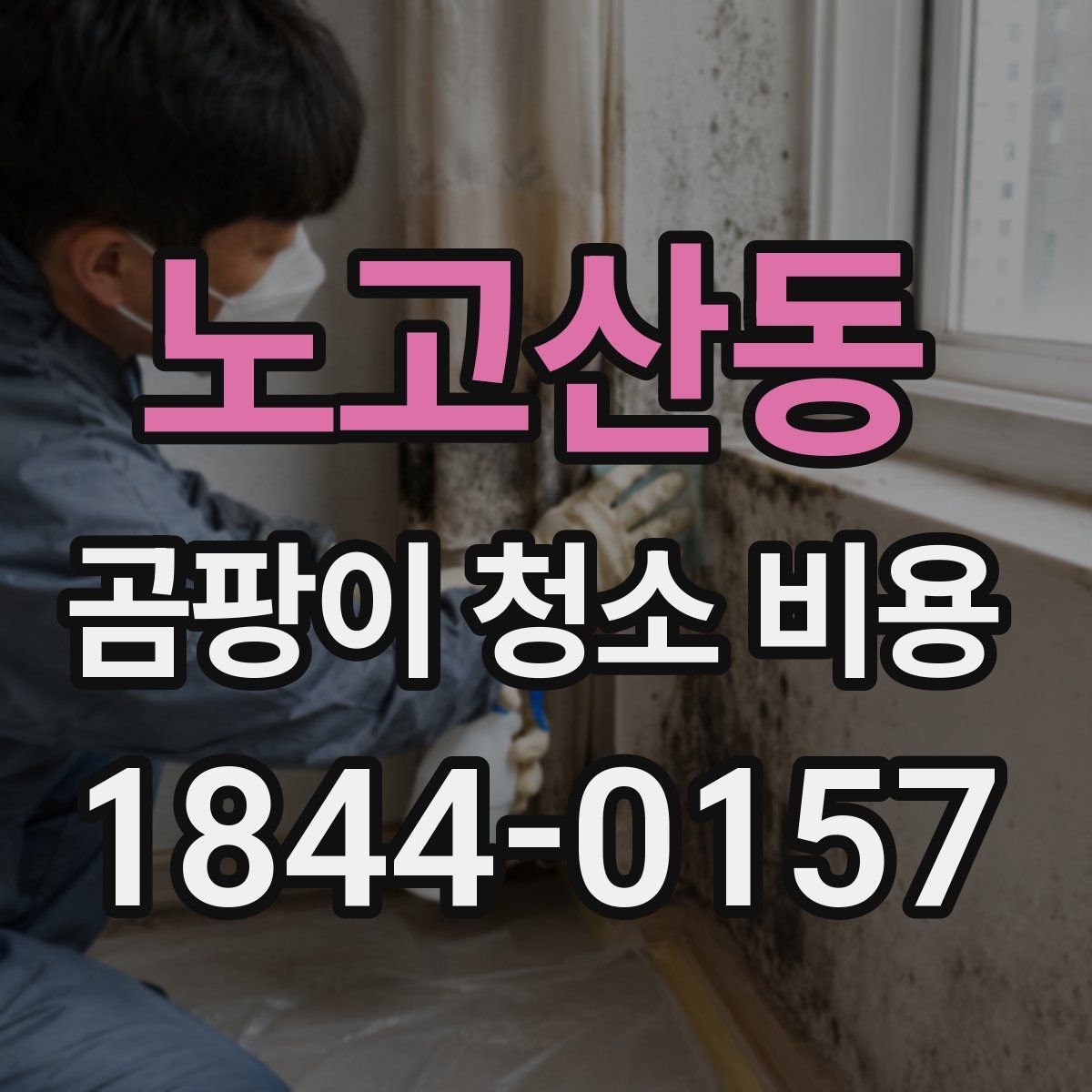노고산동 곰팡이 청소 비용