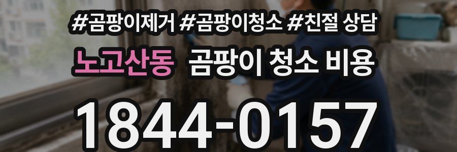 노고산동 곰팡이 청소 비용